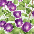 Hand-Drawn Dark Purple Morning Glory Art A Perfect September Birth Flower Tribute