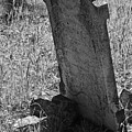 Headstone by Gina Cinardo