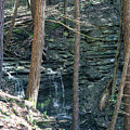 Hemlock Gorge 37 by William Norton