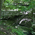 Hemlock Gorge 38 by William Norton