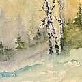 Hush of the Forest by Judy Strickland