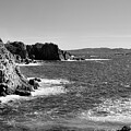 Hyeres, Giens, France, Mediterranean Sea, rocky coastline black and white by Severija Kirilovaite