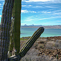 Isla Coronado, Loreto