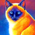Jewel of the Orient - Colorful Siamese Cat