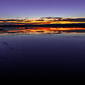 July 2020 Bosque del Apache Sunrise Photograph by Alain Zarinelli