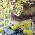 Lemons and Jonquils