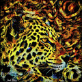 Leopard Abstract