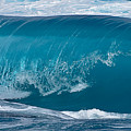 Life of a Wave Roll Photograph by Debra Banks