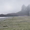LongBeach at Tofino, British Columbia, Canada by Natural Focal Point Photography