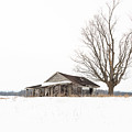 Lost in Time Winter Homestead by Dee Potter