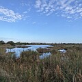 Loxahatchee wildlife refuge
