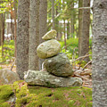 Maine Cairn by Donna Twiford
