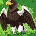 Majestic Eagle Illustration by William Gunn