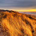 Manzanita, Oregon - dunes and sunset Photograph by Bruce Block