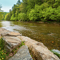 Jordan Creek in Spring at Trexler Nature Preserve  Lehigh County, Pennsylvania by Jason Fink