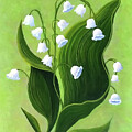 Megan's Lily of the Valley 