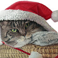 Meowy Christmas by Marlene Little