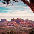 Mesa de Rojo, Sedona Arizona by Shannon Williams