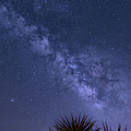 Milky Way Over the Desert