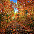 Minnesota North Shore Backroad in Autumn by Adam Mateo Fierro