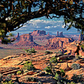 Monument Valley Through Tree Branch