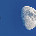 Moon Flight by Tommy Farnsworth