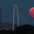 Moon Over Dallas