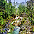 Morning Mist on the Nooksack River