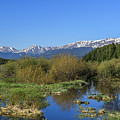 Mount Massive Wilderness Panorama Photograph by Dan Sproul