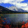Mount Moran in the Fall