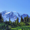 Mount Rainier Above the Meadow