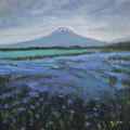 Mt Fuji over Nemophila Fields by Jane See