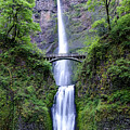 Multnomah Falls in Spring Green