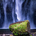 Multnomah Falls Oregon Photograph by Tommy Farnsworth