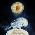 Mysterious by Priska Wettstein
