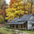 Noah Ogle House Yellow Leaves by Jimmy Pappas
