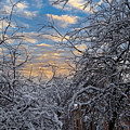 November Snowrise by Robert Allen Hill