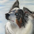 Oakley by Marlene Little