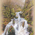 Oirase Gorge by Terry Edeker