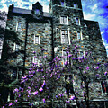 Old Stone Building in Georgetown with Blooming Tree by Bruce Block