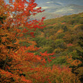 Orange On The Blue Ridge by Dodie Ross