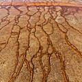 Outer Limits - Grand Prismatic Spring, Yellowstone