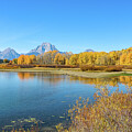 Oxbow Bend 2 by Dawn Richards