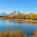 Oxbow Bend by Dawn Richards