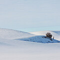 Palouse snow-covered rolling hills in winter