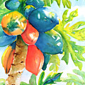 Papaya Tree by Carlin Blahnik CarlinArtWatercolor