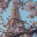Paris in the Spring 1 by Lisa Chorny