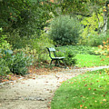 Park Bench