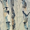 Peeking Through the Aspens by Judy Strickland