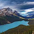 Peyto Lake View North by Tommy Farnsworth